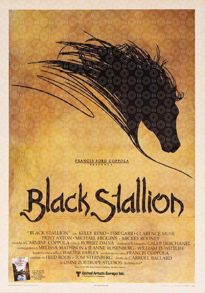 The Black Stallion