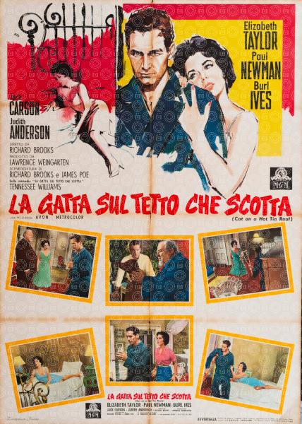 Cat on a Hot Tin Roof