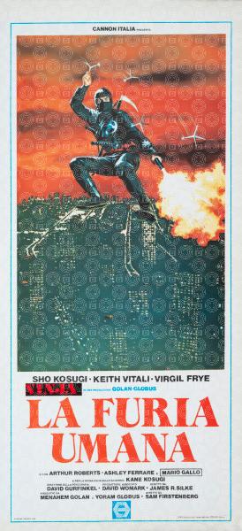 Revenge of the Ninja