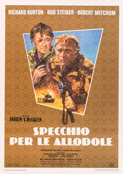 Specchio per le allodole