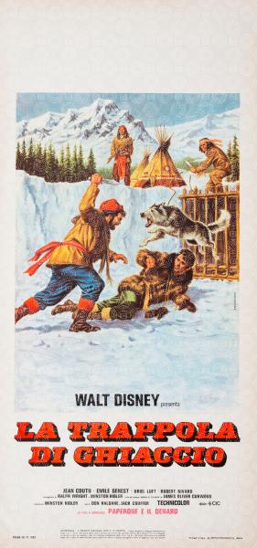 Nikki, Wild Dog of the North