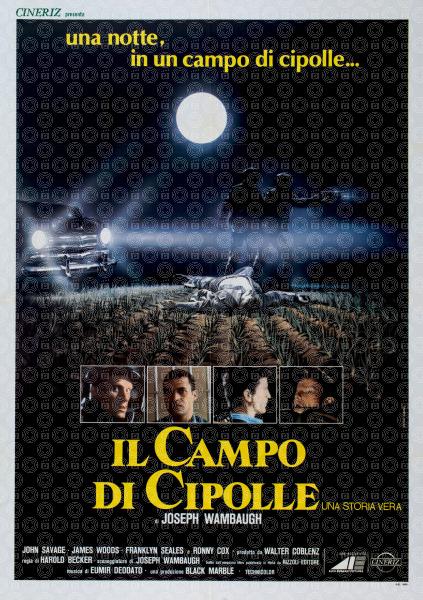 Il campo di cipolle
