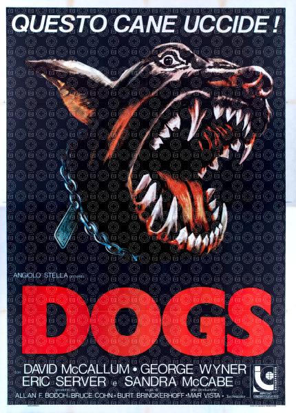 Dogs - Questo cane uccide!