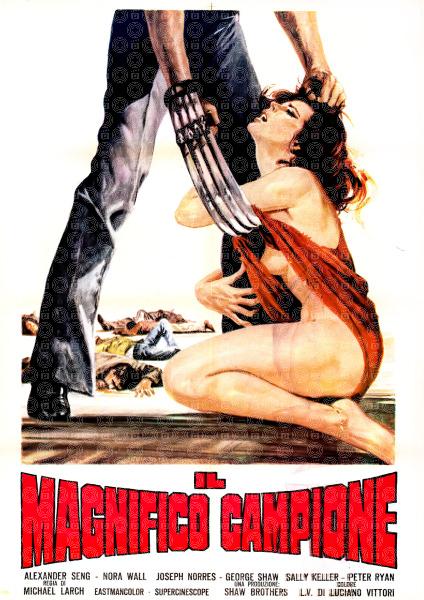 The New Shaolin Boxers