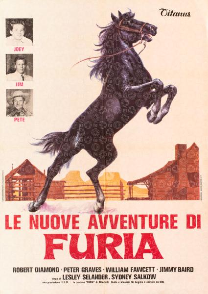 Le nuove avventure di Furia