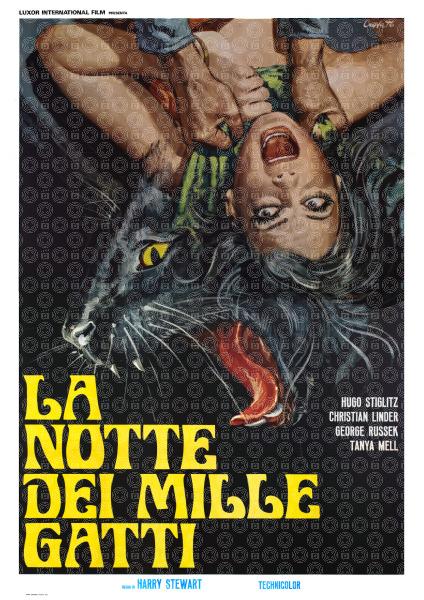 La notte dei mille gatti
