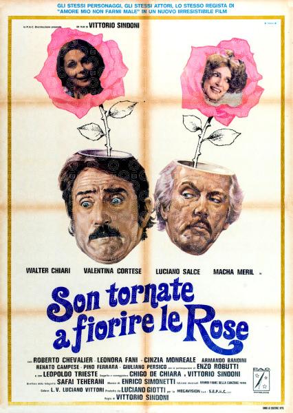 Son tornate a fiorire le rose