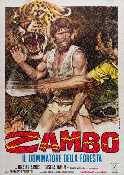 Zambo, King Of The Jungle