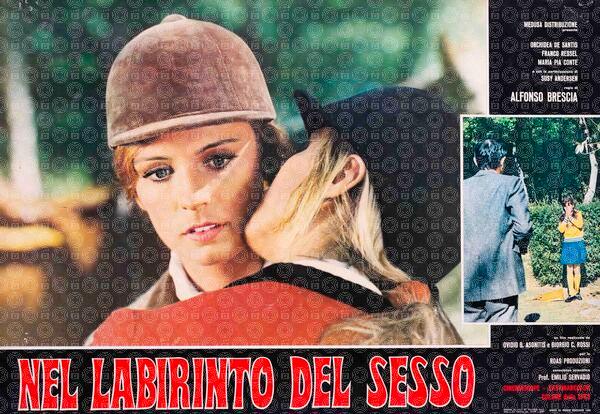 The Labyrinth of Sex