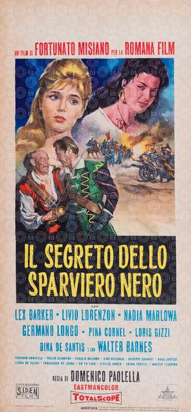 The Secret of the Black Falcon