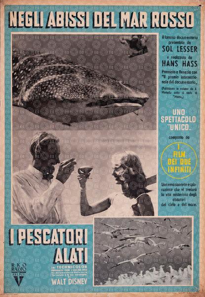 Diving in the Red Sea