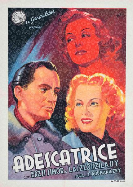 The Relative of His Excellency